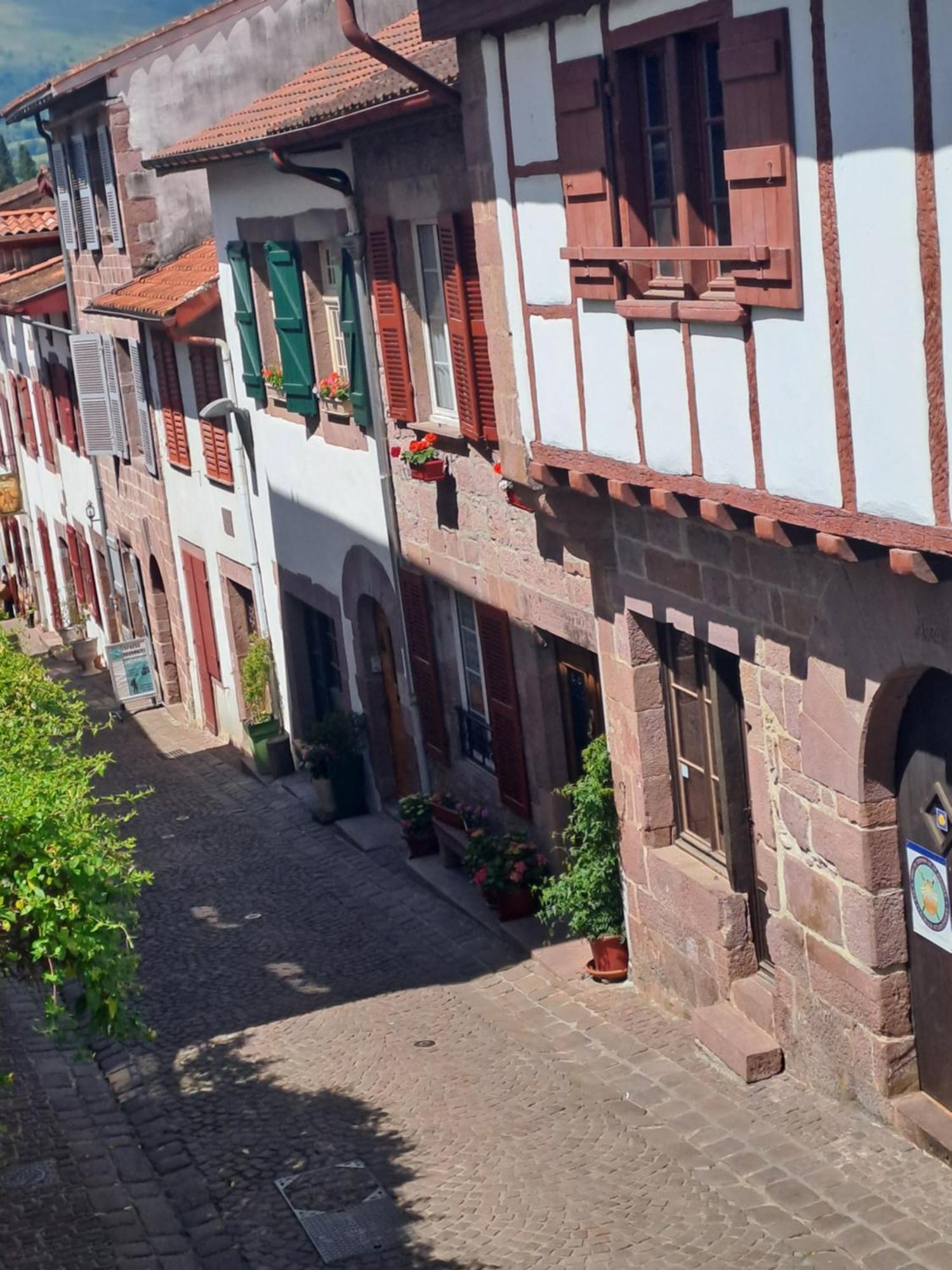 Maison Gohora Dago Saint-Jean-Pied-de-Port Exterior foto